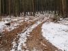 Těžbou dřeva zničená cesta na Krudum
