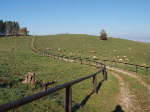 Kamenice - cesta ke kapličce sv. Máří Magdalény