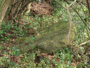 Křížový kámen při zaniklé cestě ze Žihle do Pastuchovic